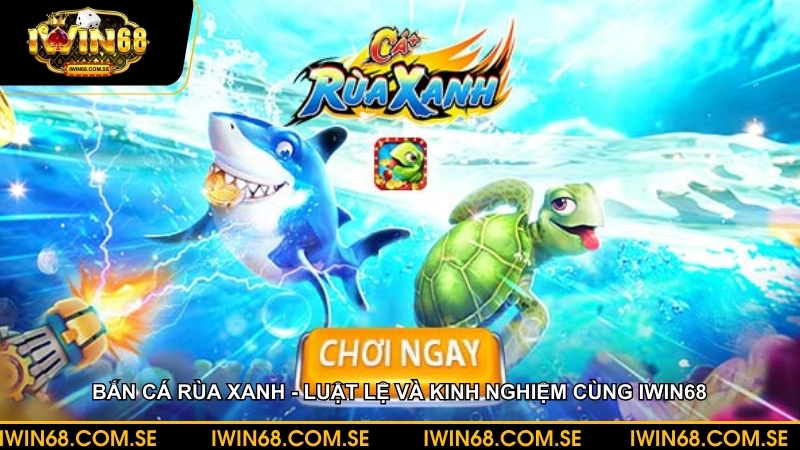 Bắn cá rùa xanh - Luật lệ và kinh nghiệm cùng iWin68