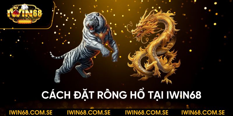Cách đặt rồng hổ tại iWin68 chuẩn xác - Bí quyết đến từ các cao thủ