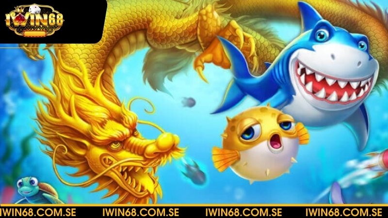 Giới thiệu săn cá rồng
